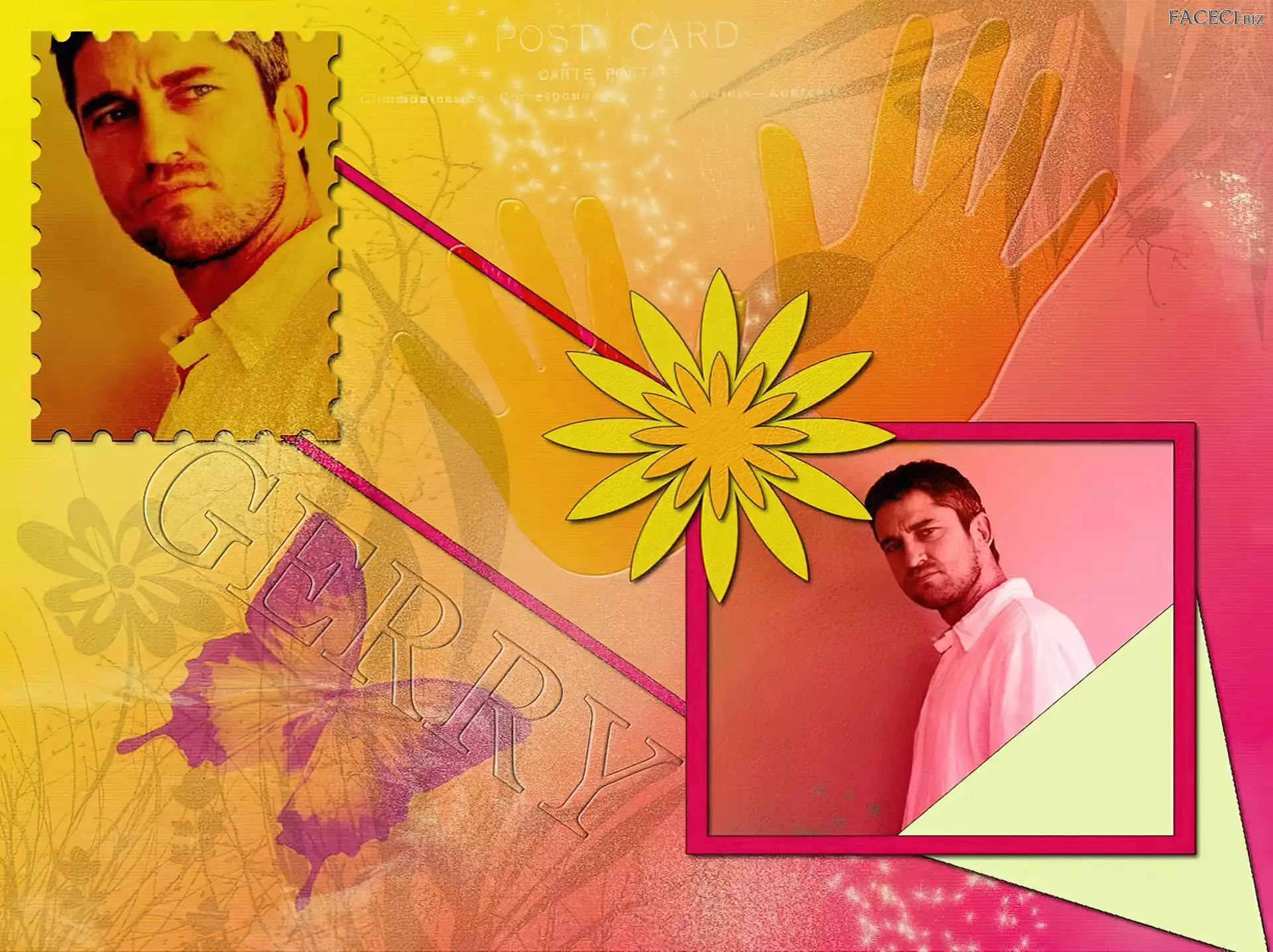 kwiatek, Gerard Butler, biała koszula